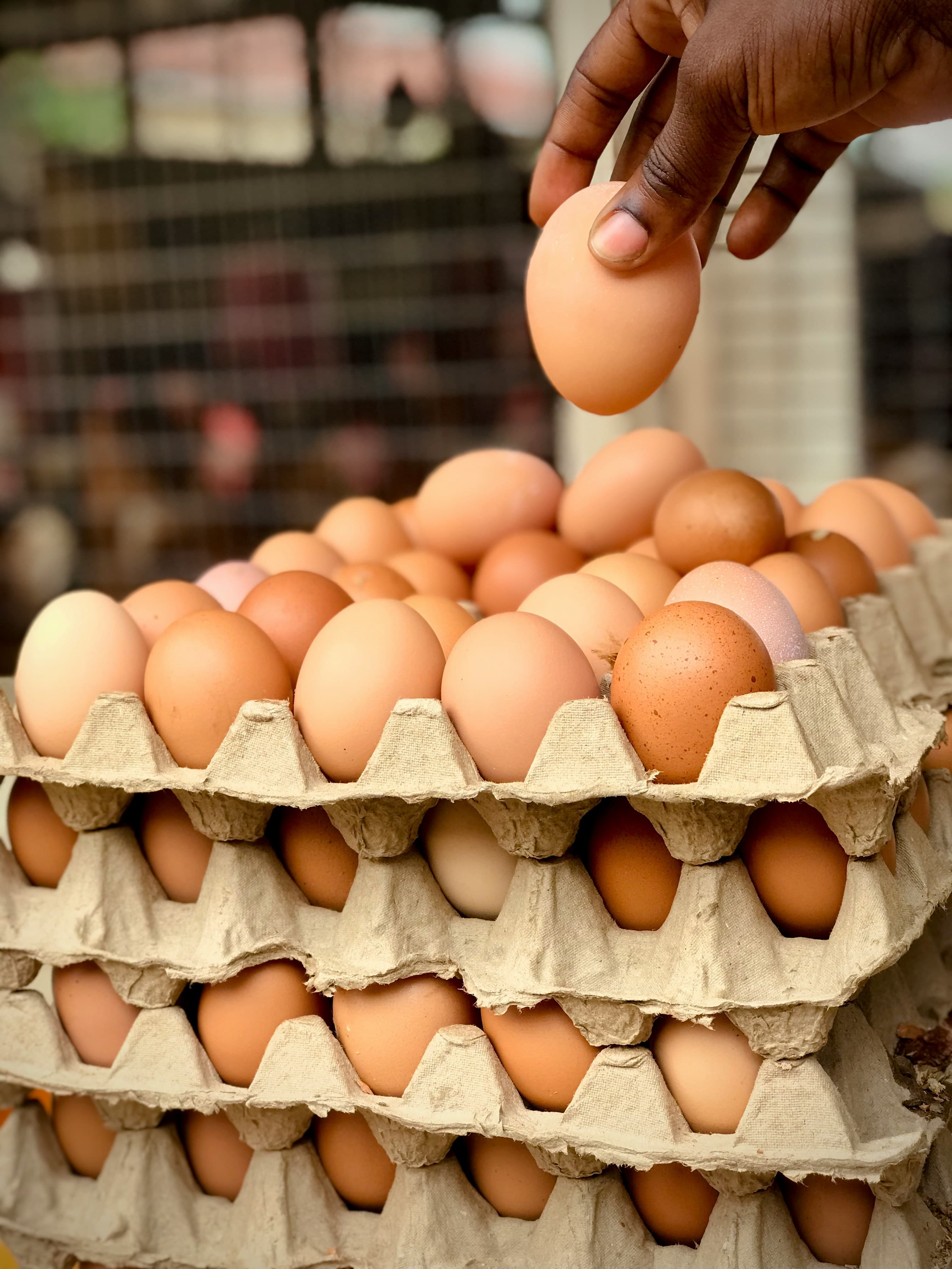Stacked trays of brown eggs, a hand lifting one clear of the top tray.